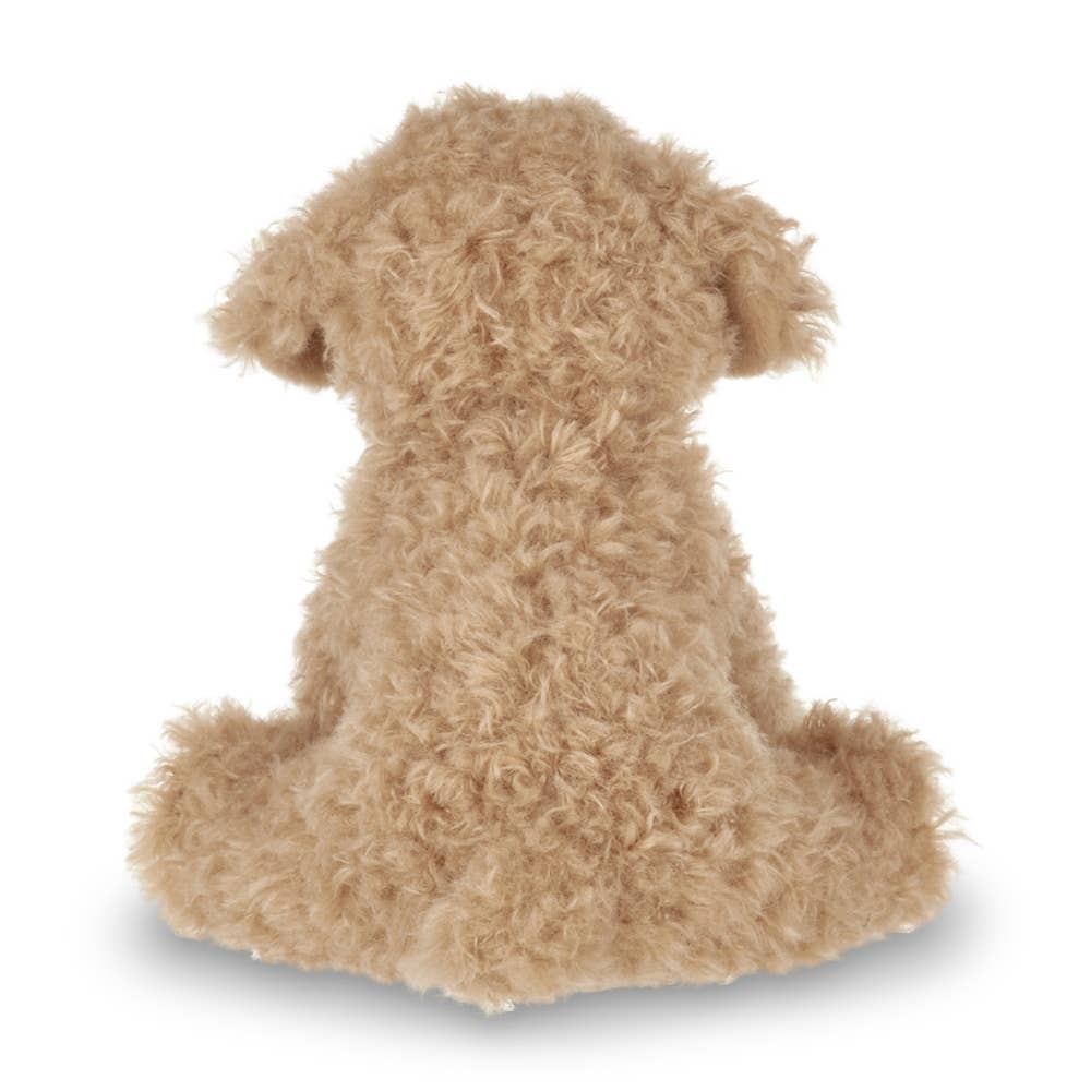 Doodles the Labradoodle