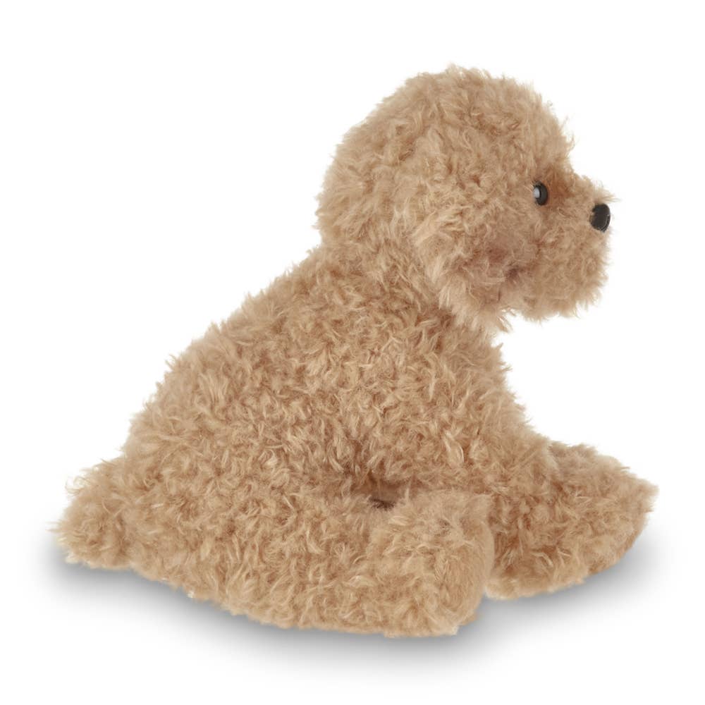 Doodles the Labradoodle