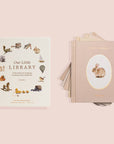Our Little Library Vol. 1 (5 Board Book Box Set)