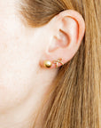 Screwback Stud Earrings - Sadie - Gold