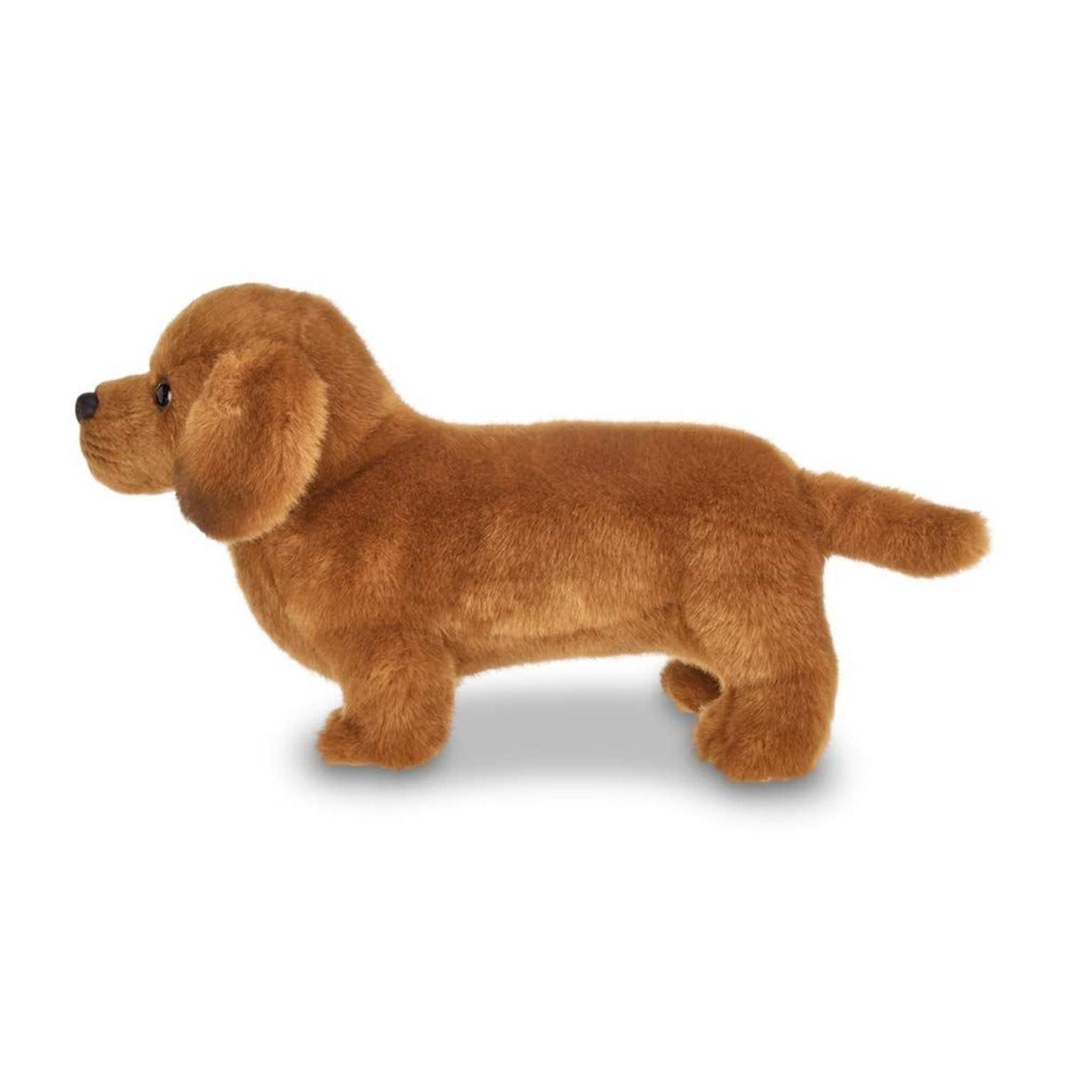 Frankie the Daschund