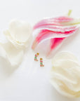 Screwback Stud Earrings - Tulip Cowgirl Boot