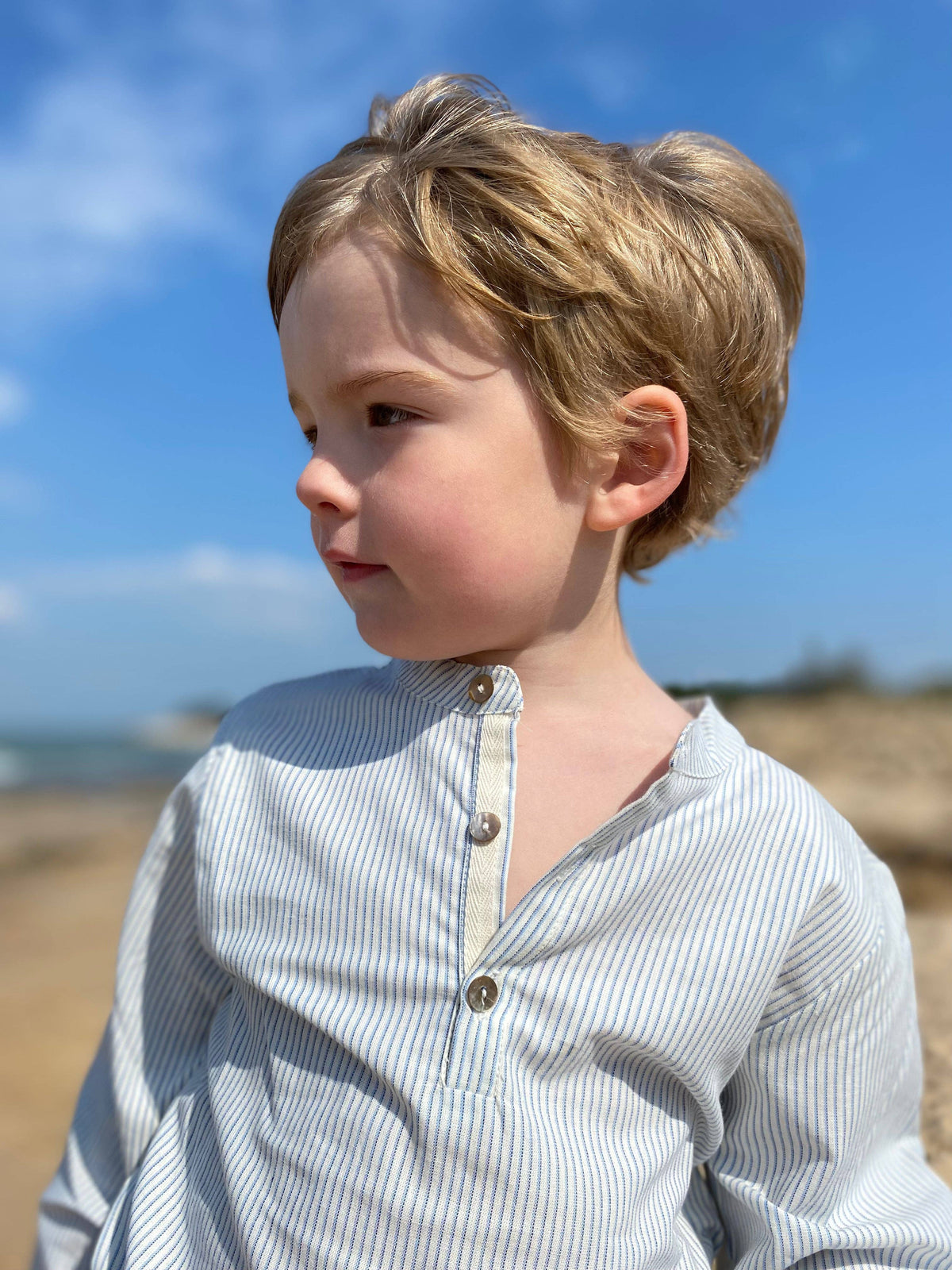 Bourdon blue striped blouse