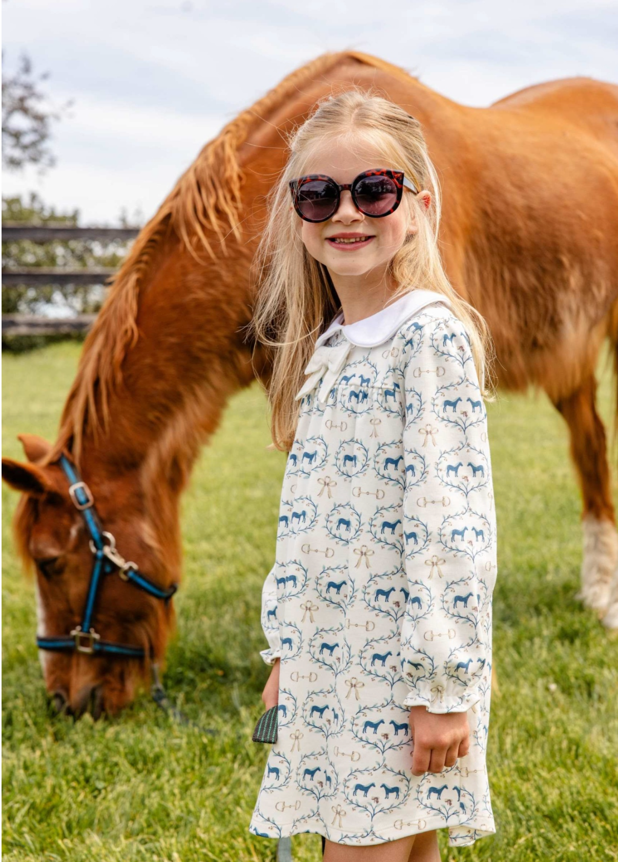 Long Sleeve Banks Bows Dress Horse Bits and Bows