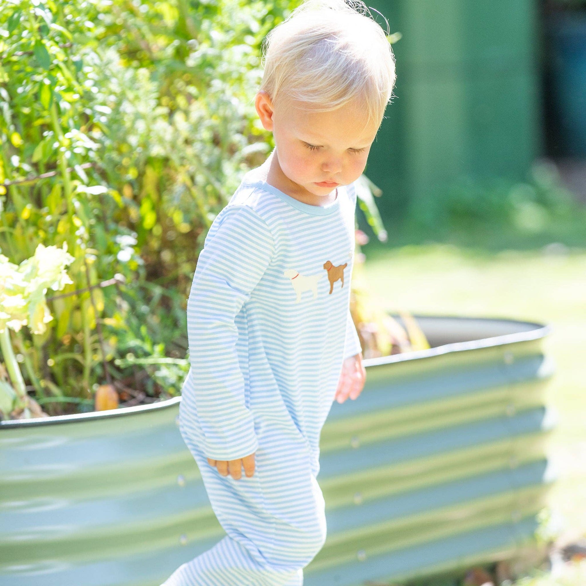 Boys Puppy Romper - Blue Stripe