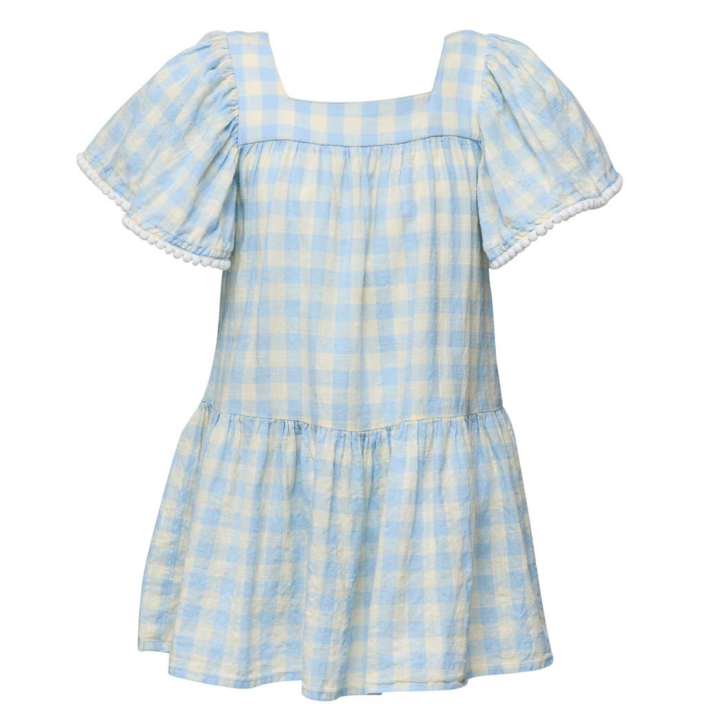 Cornflower Gingham Beach Dress